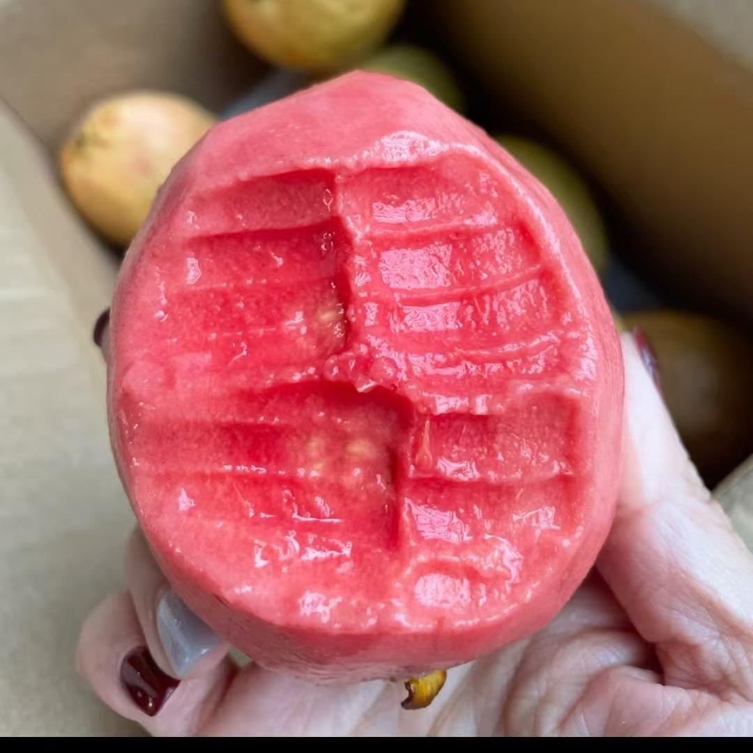 老农芭乐