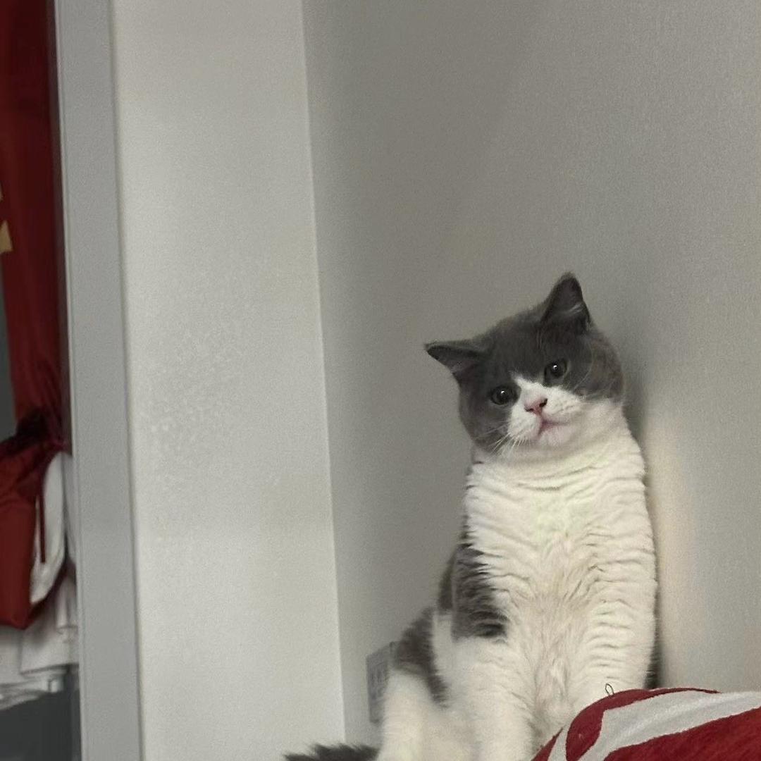 花来