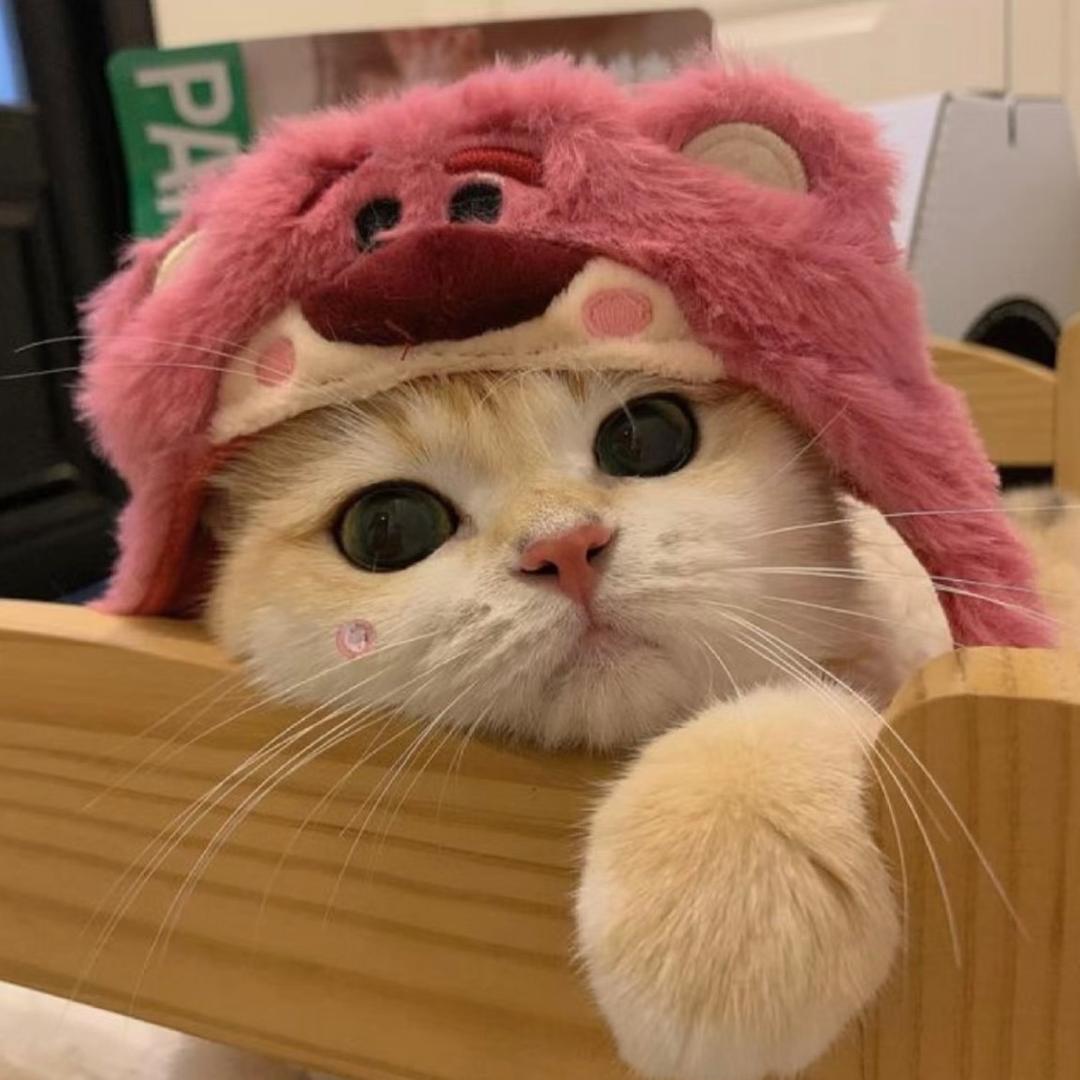 小伊爱玩睫毛对对碰
