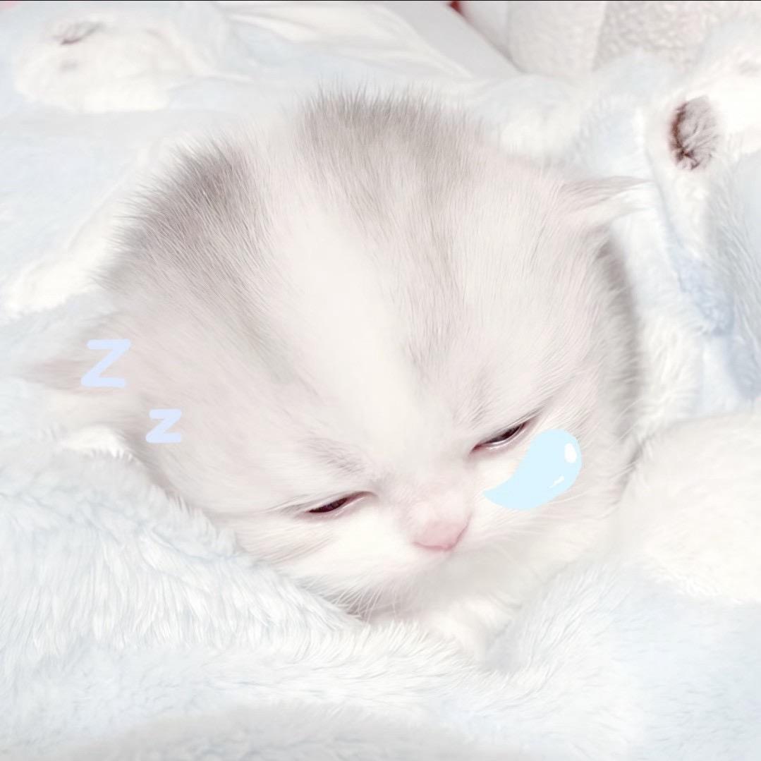 须藤也