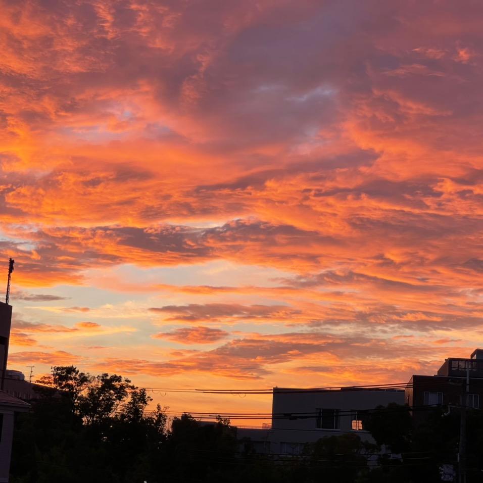 Mr张带你看风景