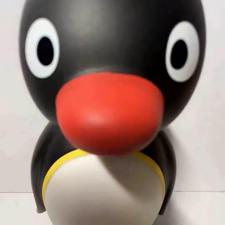 A6头像