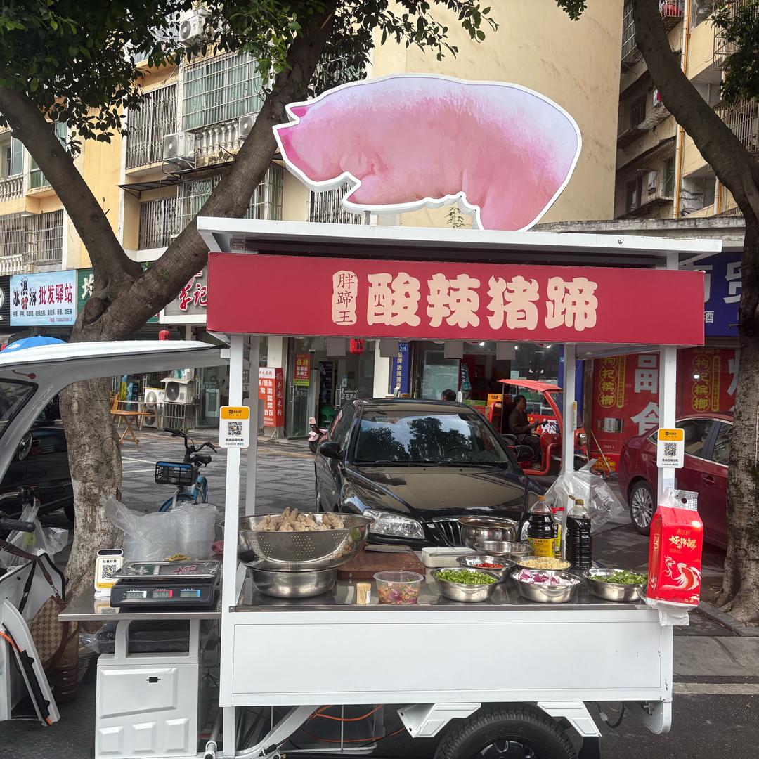 🐷沱牌酸辣猪蹄钱美丽🐷