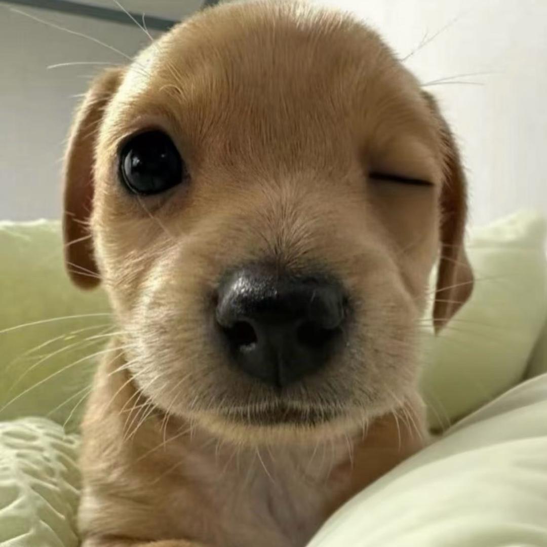 我要睡觉！