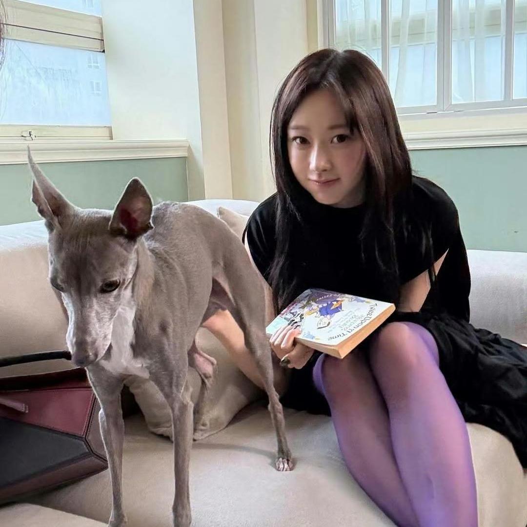 用户D_D