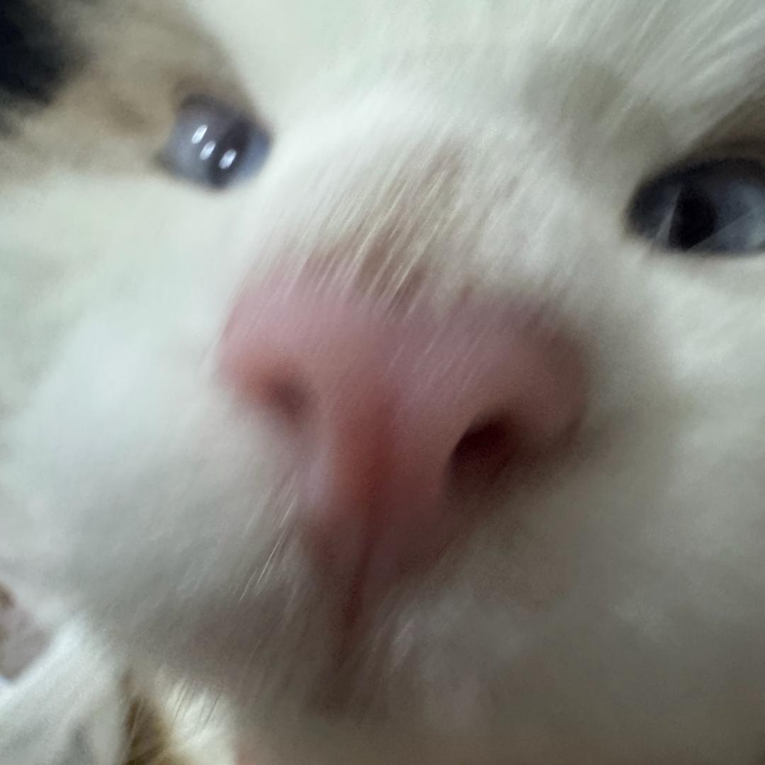 今天你通了吗