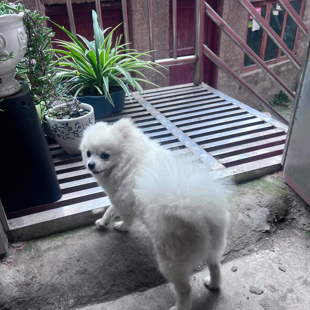 小河