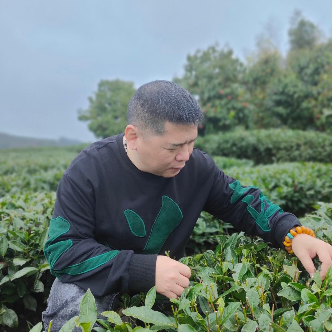 浪哥的茶