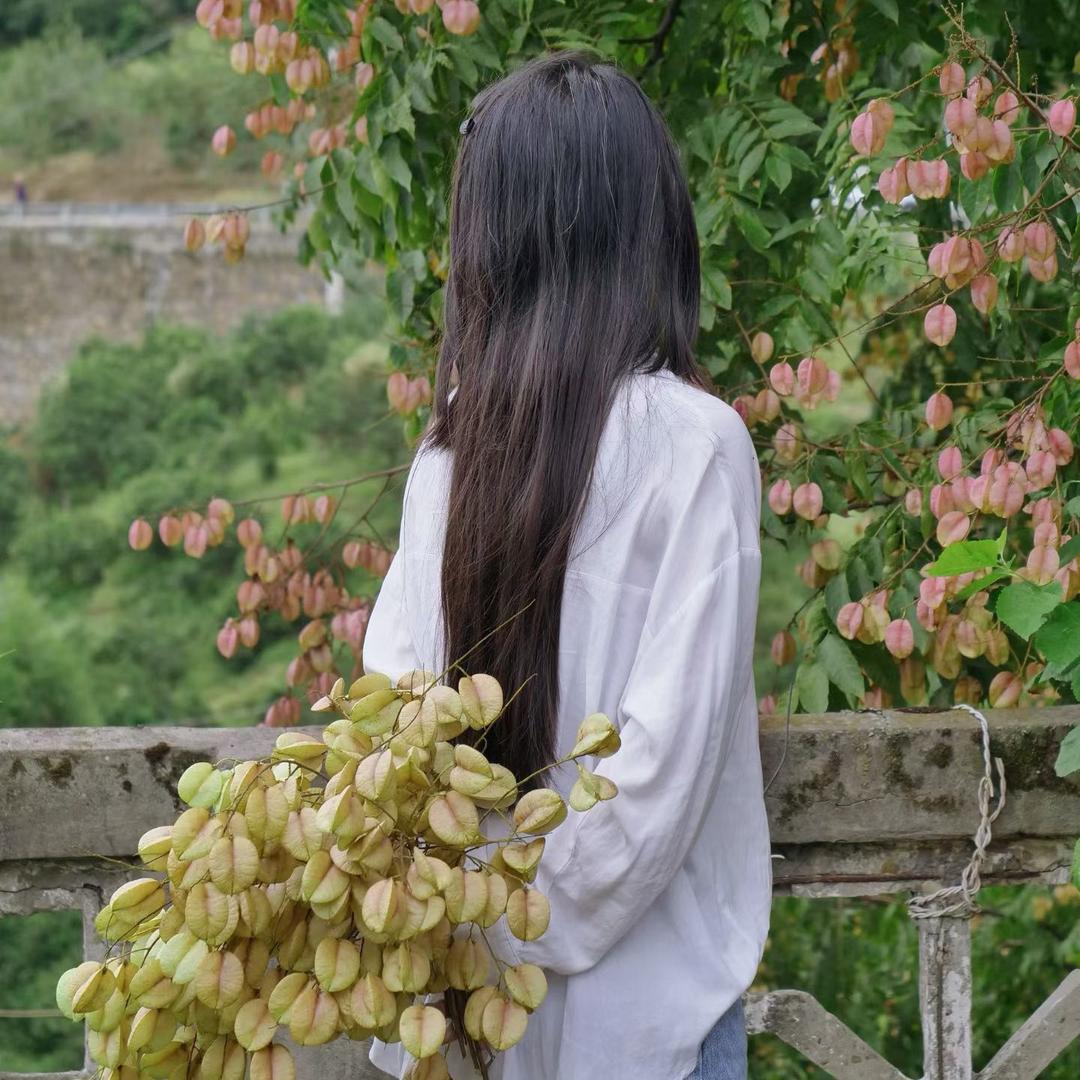 葱花儿（春芳）
