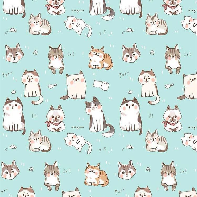 喵🐱