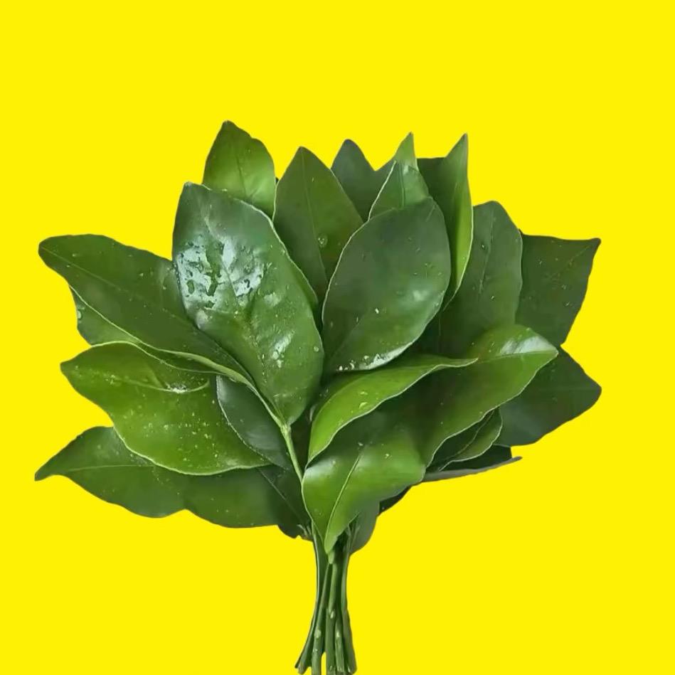 用户1694327884664543