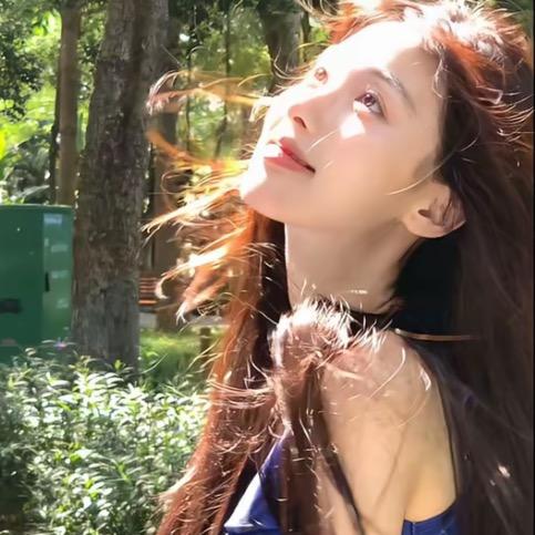 小杨🐑🐑