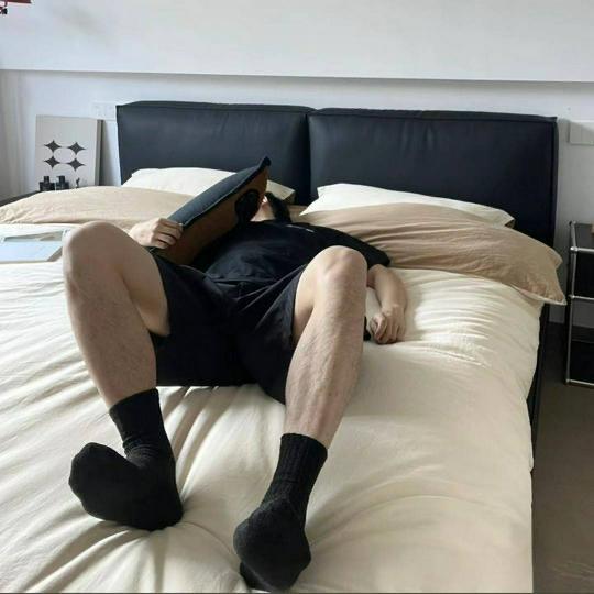 圣斗士