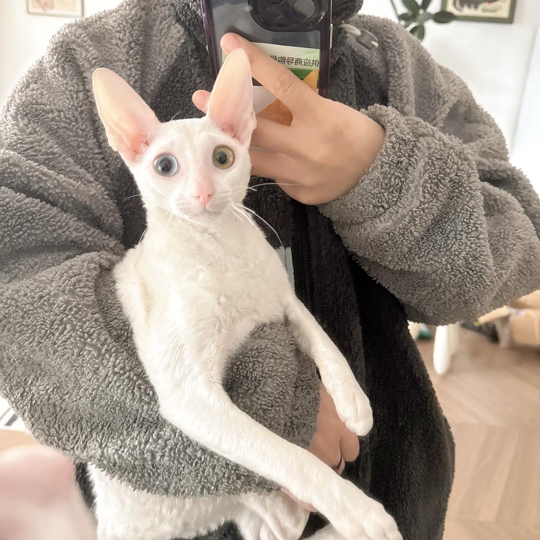 安是李千万