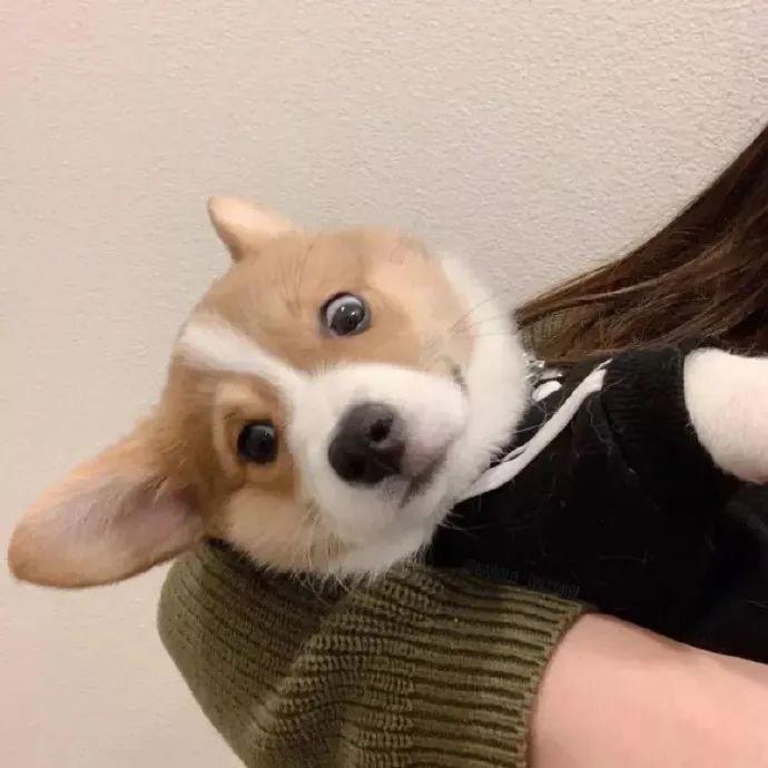 普通且自信