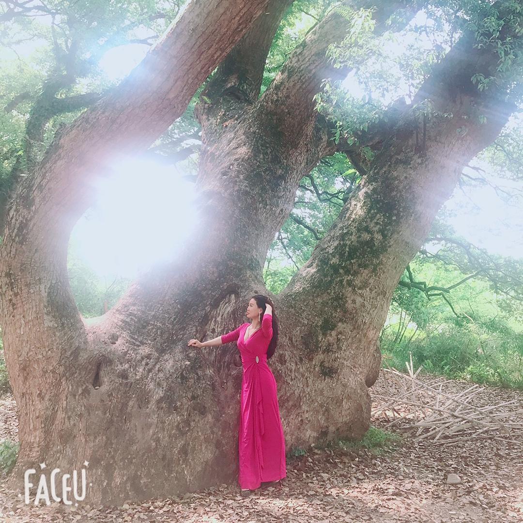 小芳🍃🌹