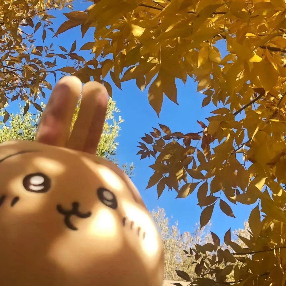 南京能不能暖和一点