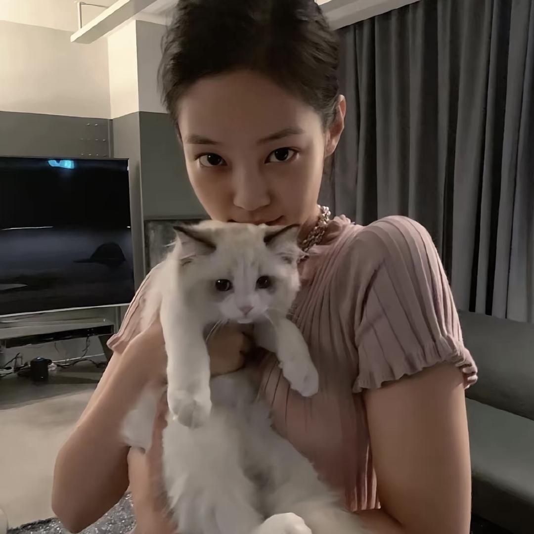 一只猫咪