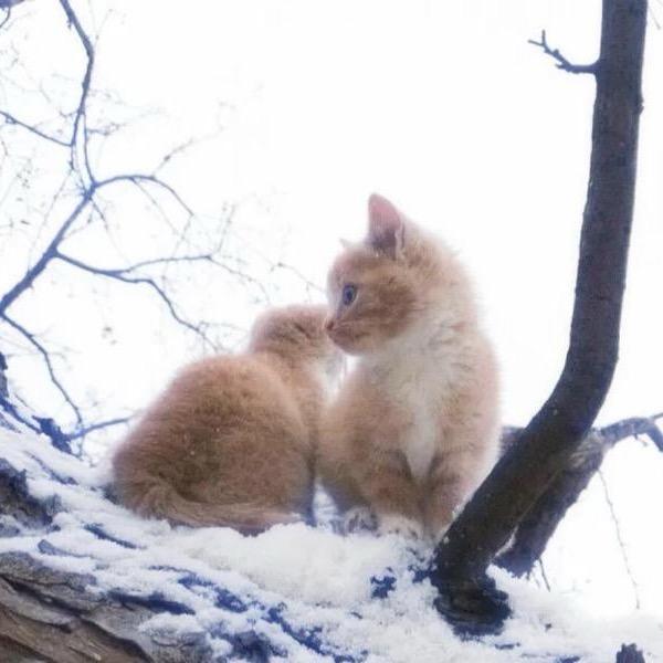 没事 爱喝小甜水