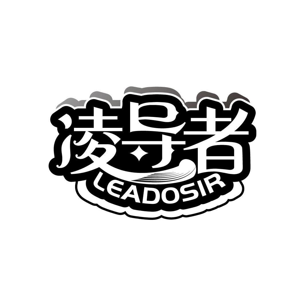 凌导者