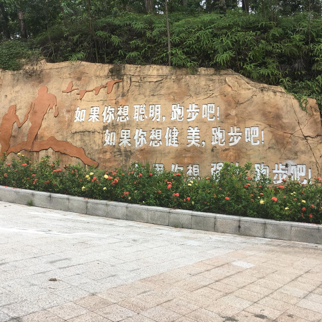 凌晓星