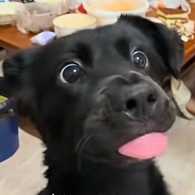 小斗巧克力～