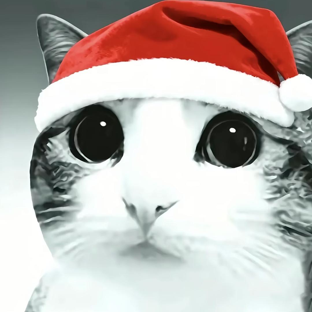 白￴￴￴￴￴￴ ￴￴￴ ￴