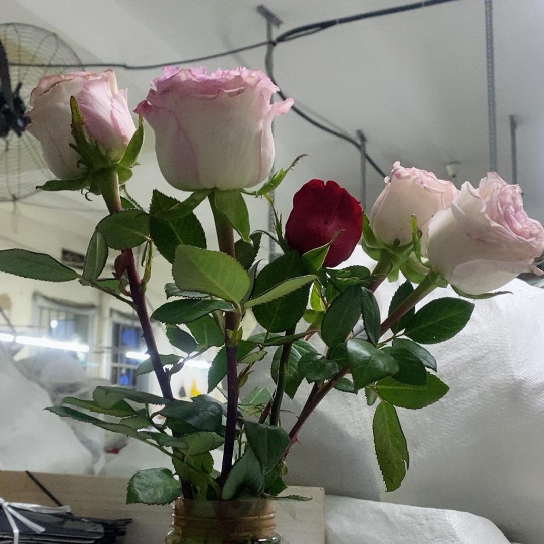 海的味道🤱🏼