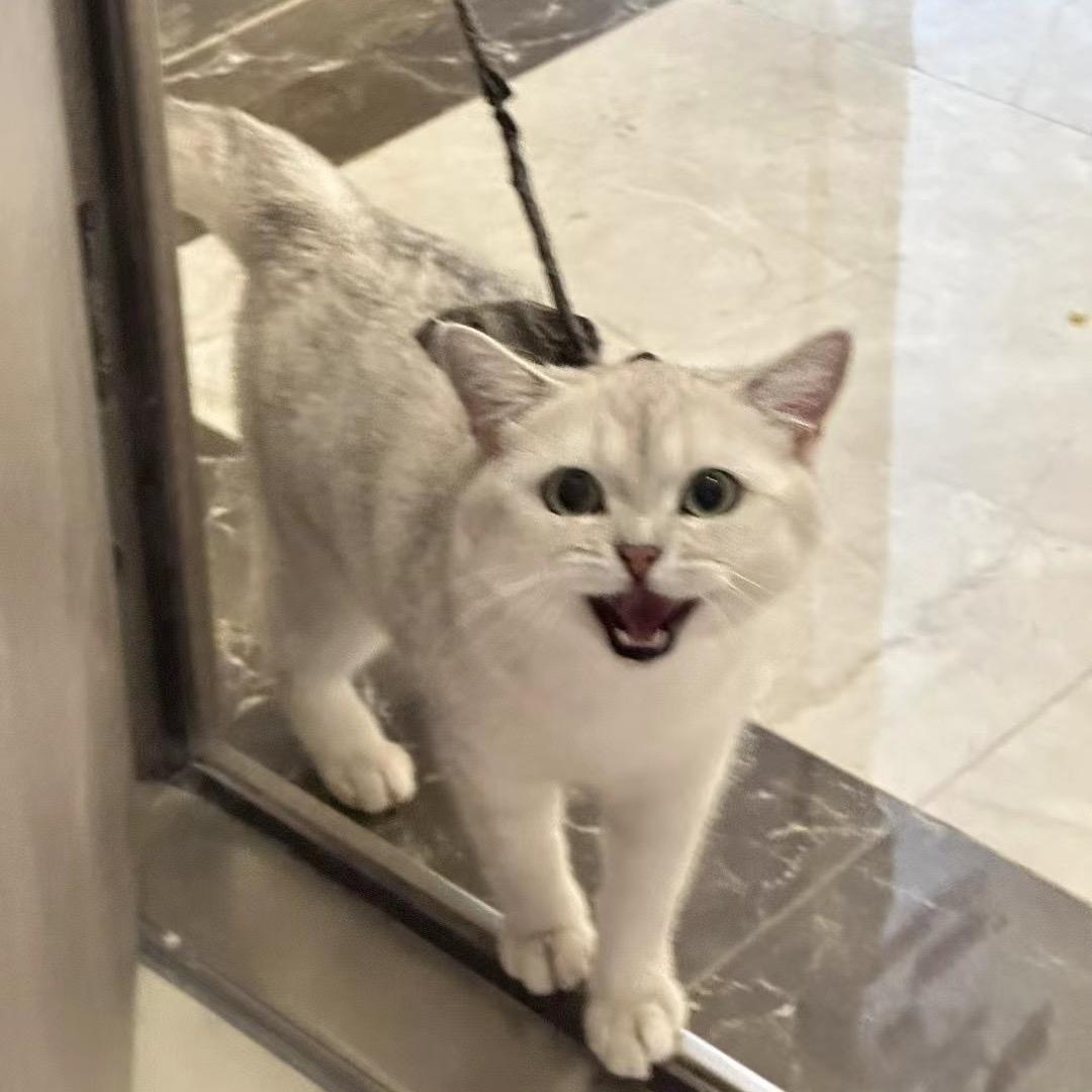 小许爱生活