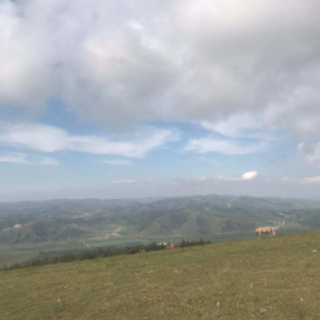 ^0^很丑…也不温柔