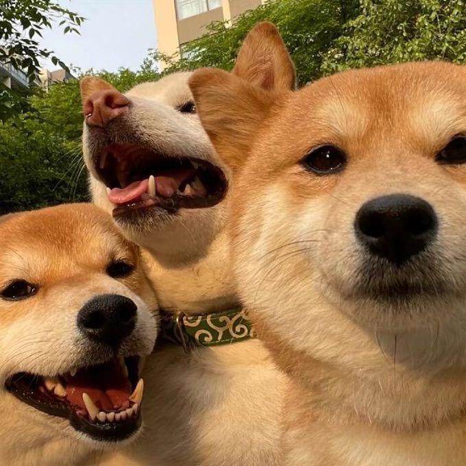 ！！