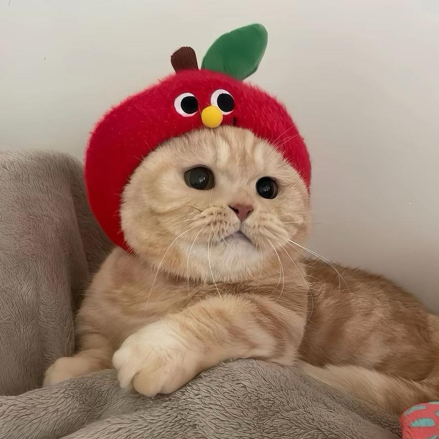 只只爱笑
