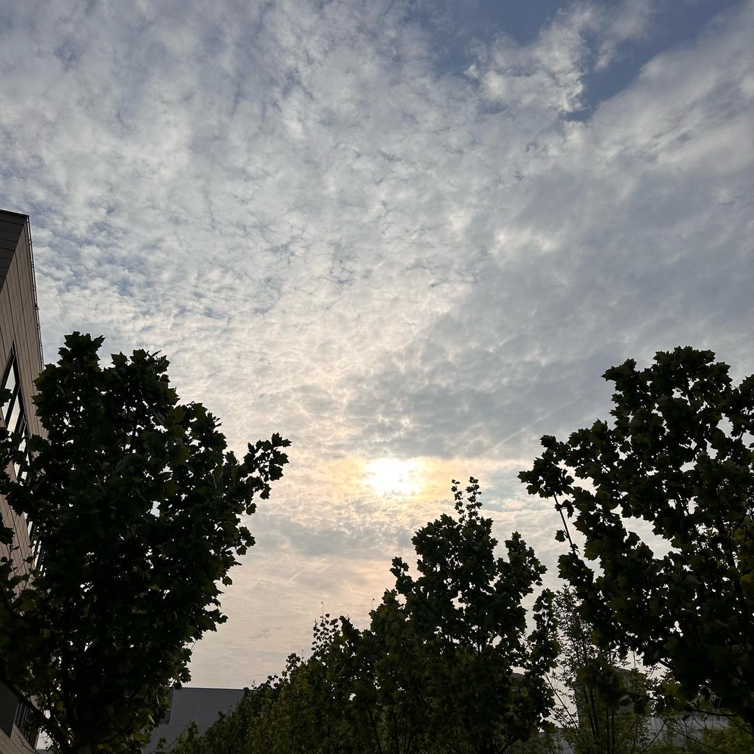 雨.