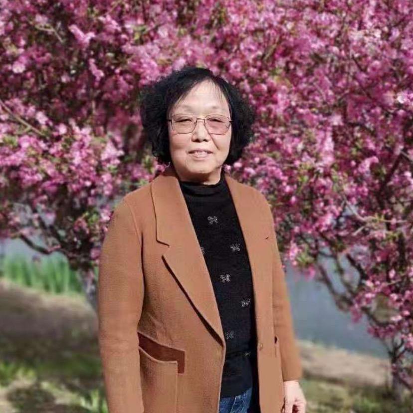赵大姐