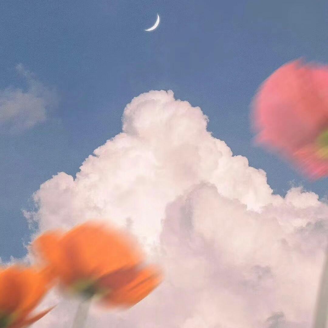 𝑻𝒓𝒊𝒂𝒏𝒈𝒍𝒆.