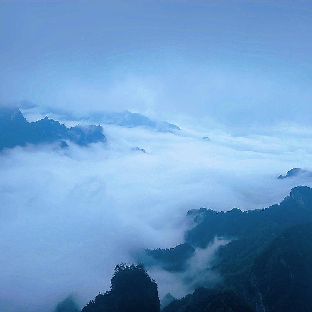 小艺小艺🌱🫧