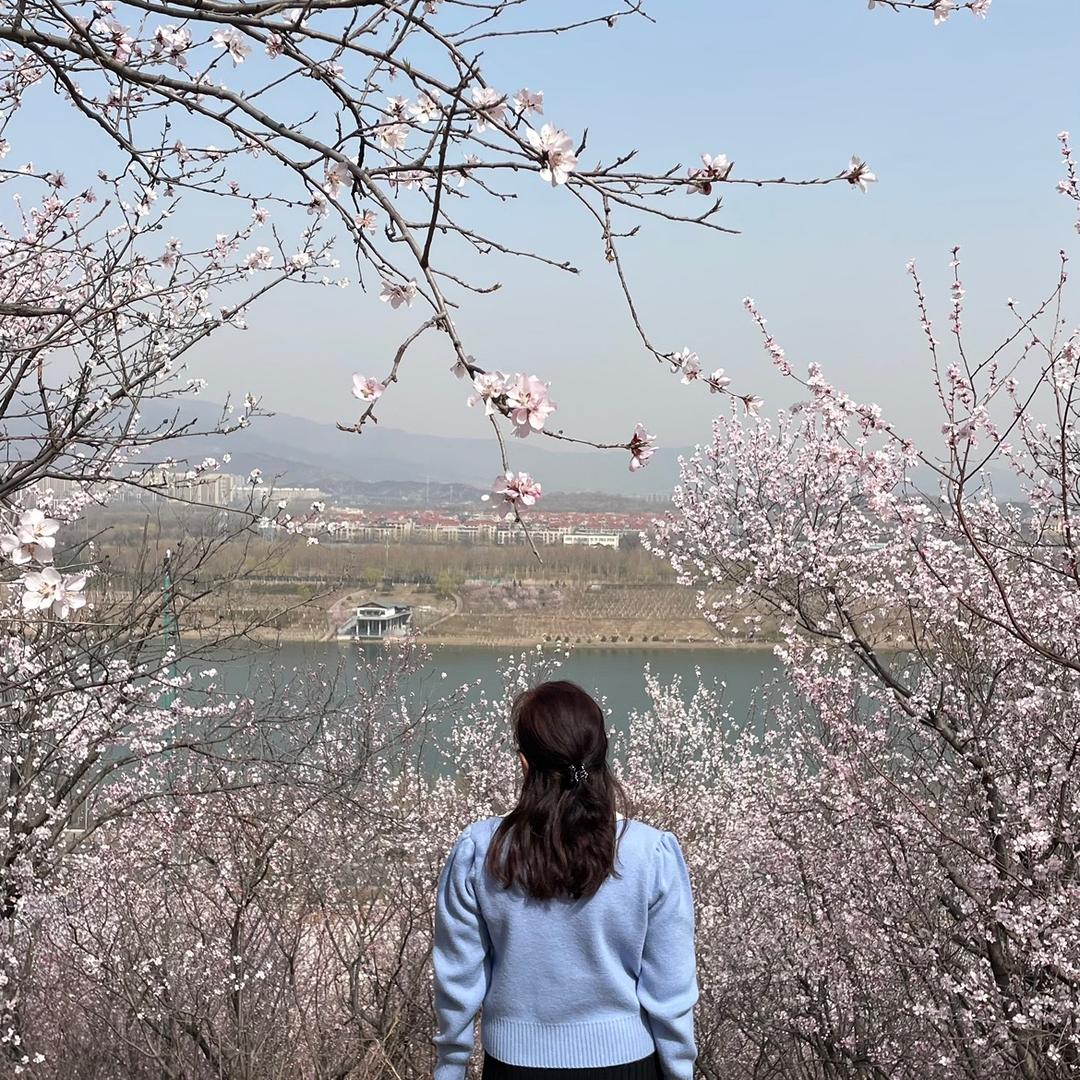 梦蓝