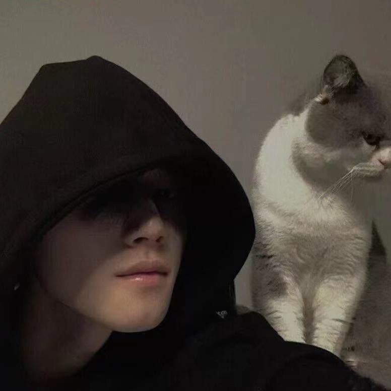 说晚安了吗🐾