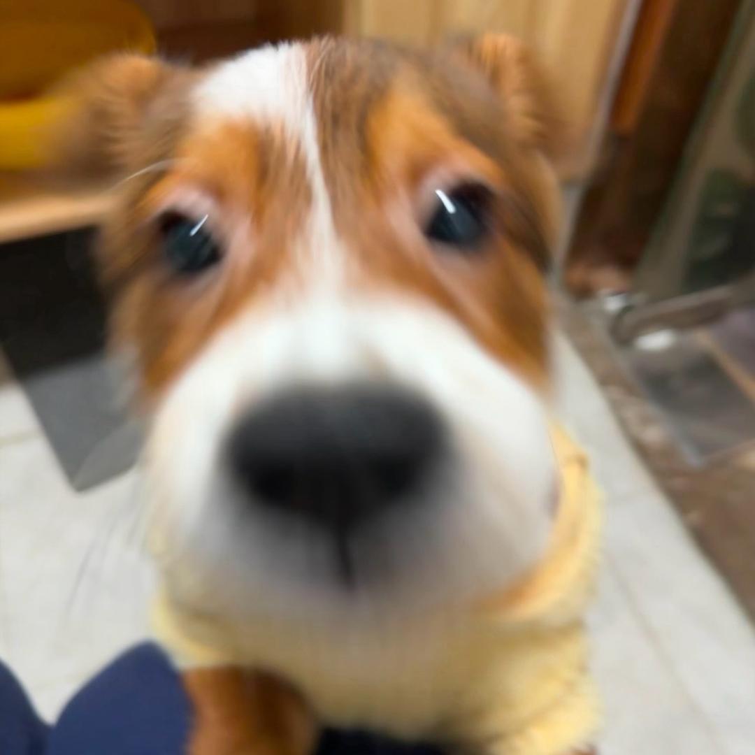 其心