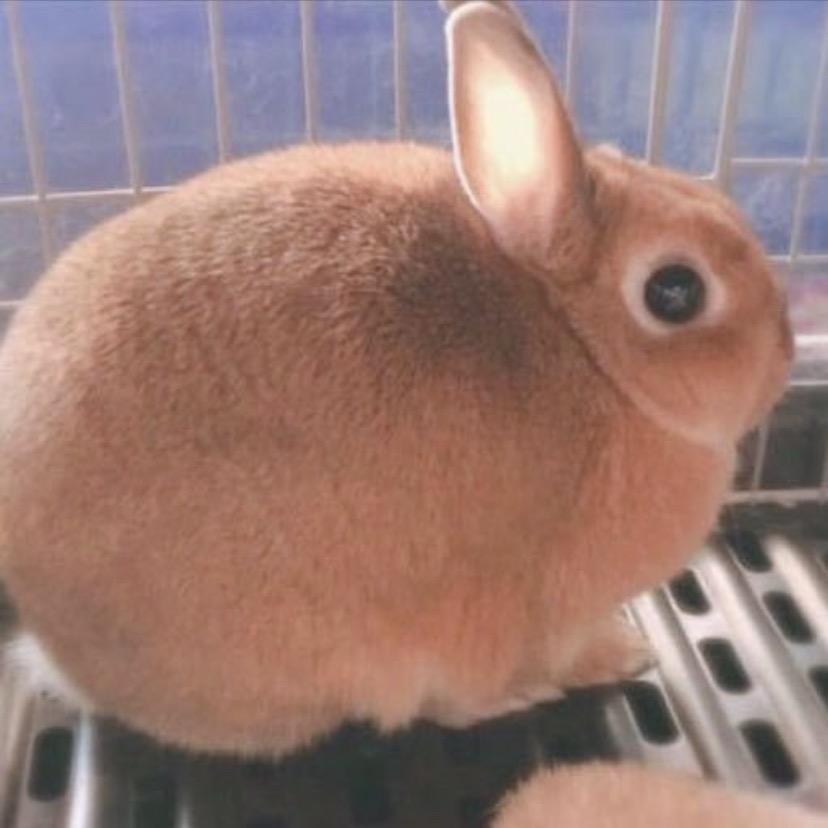 碳酸饮料拜拜@抖音