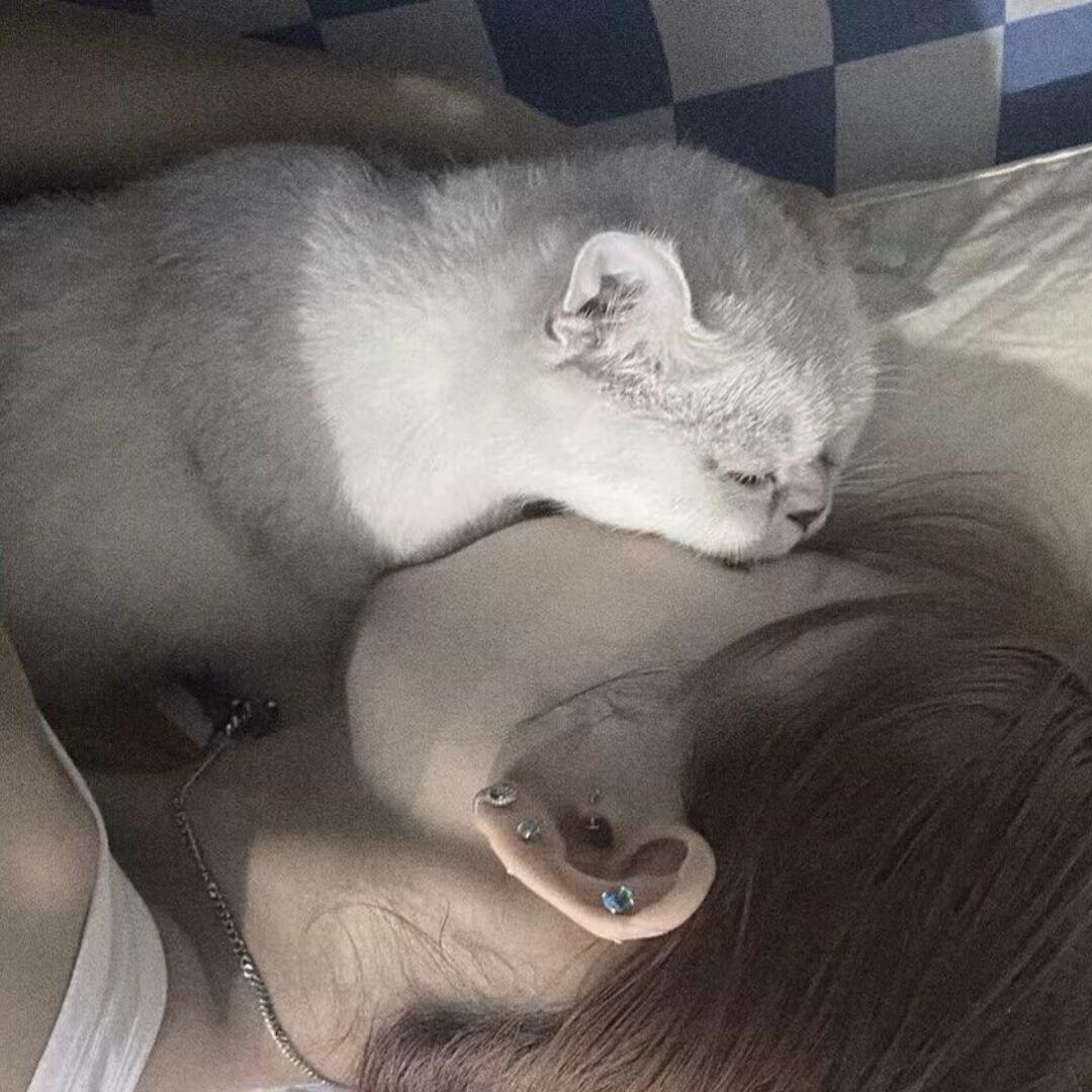 郑润泽叫我早睡^