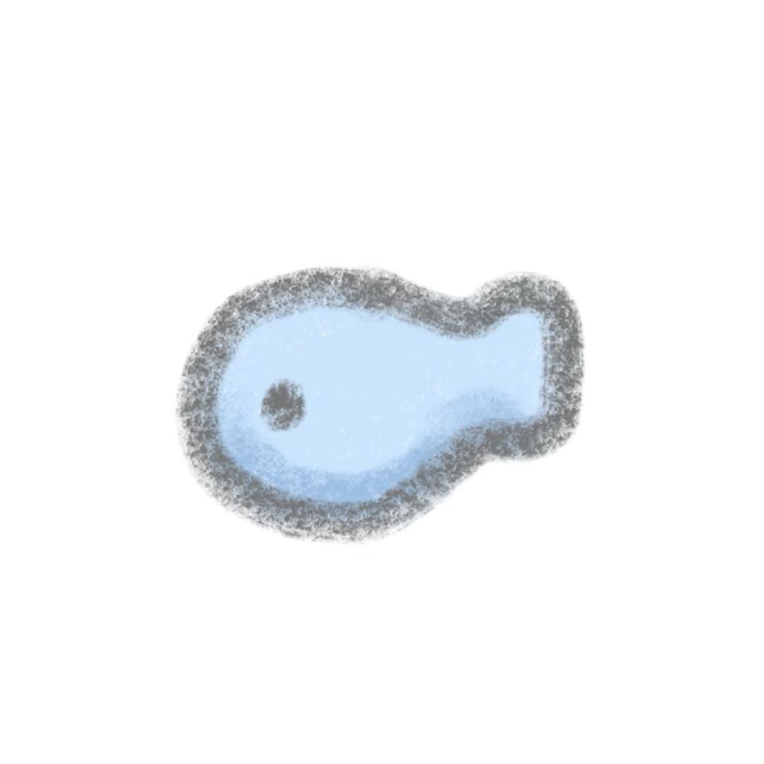 小鱼干🐟