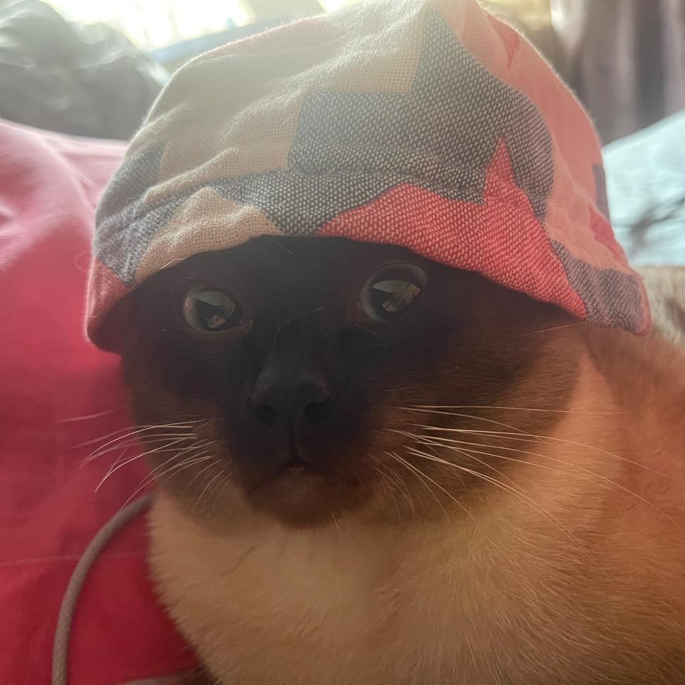 🌈🌈🌈🌈？？？