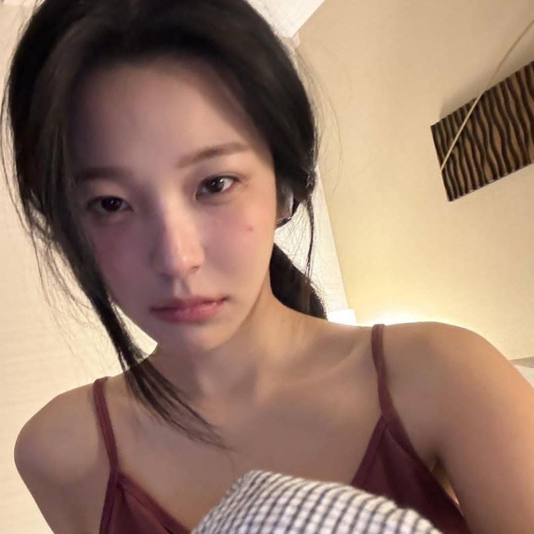菜狗裹裹（好运版）