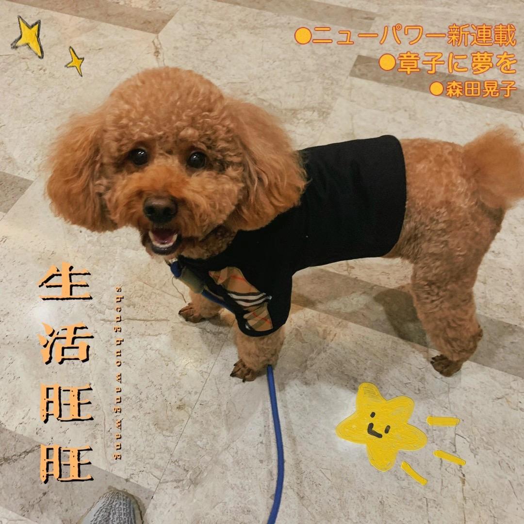 简简^_^单单