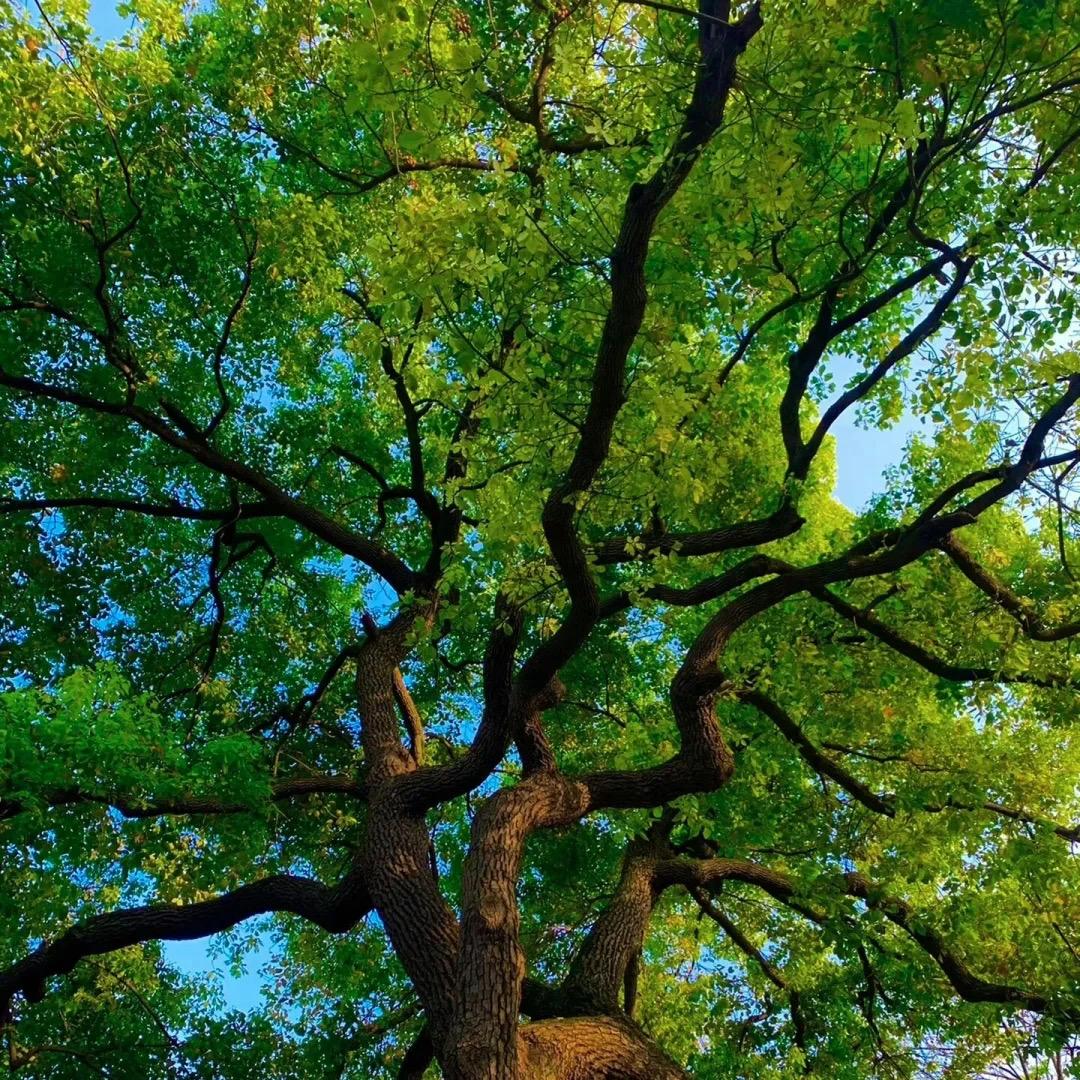 优壹自营海外仓-lucky