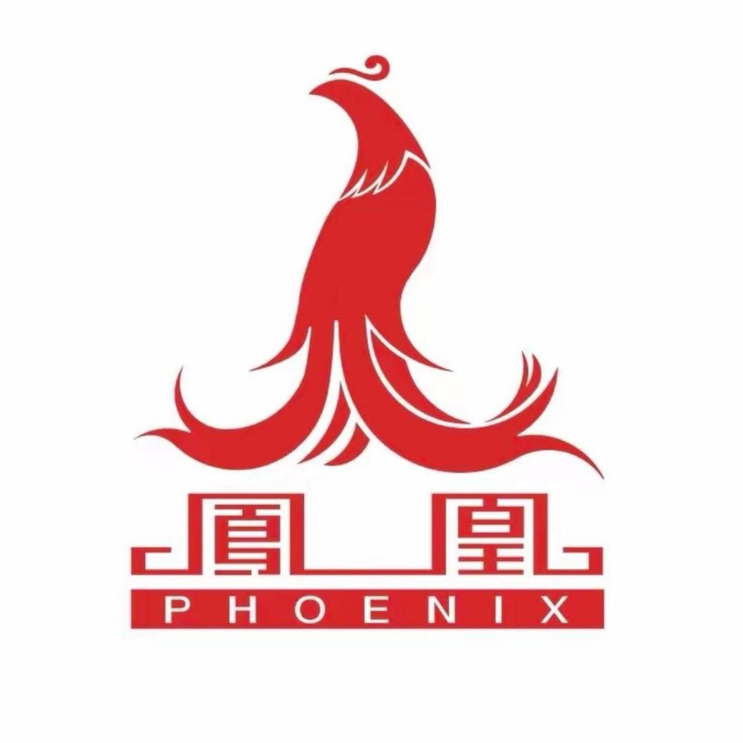 凤凰电动车厂家总仓