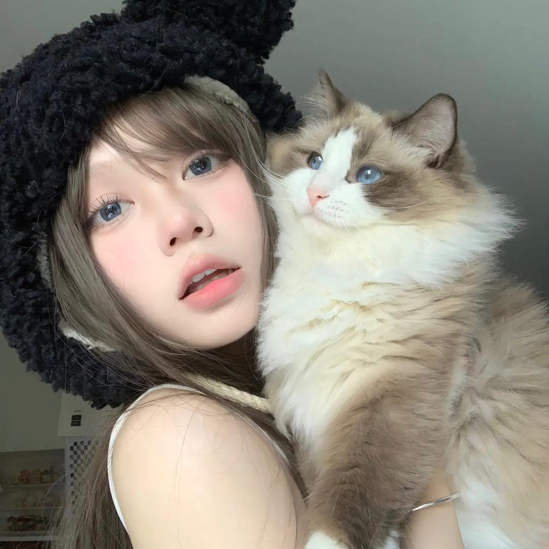 古德猫宁🐈