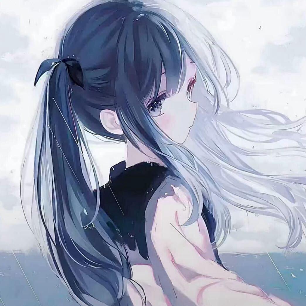 淮竹
