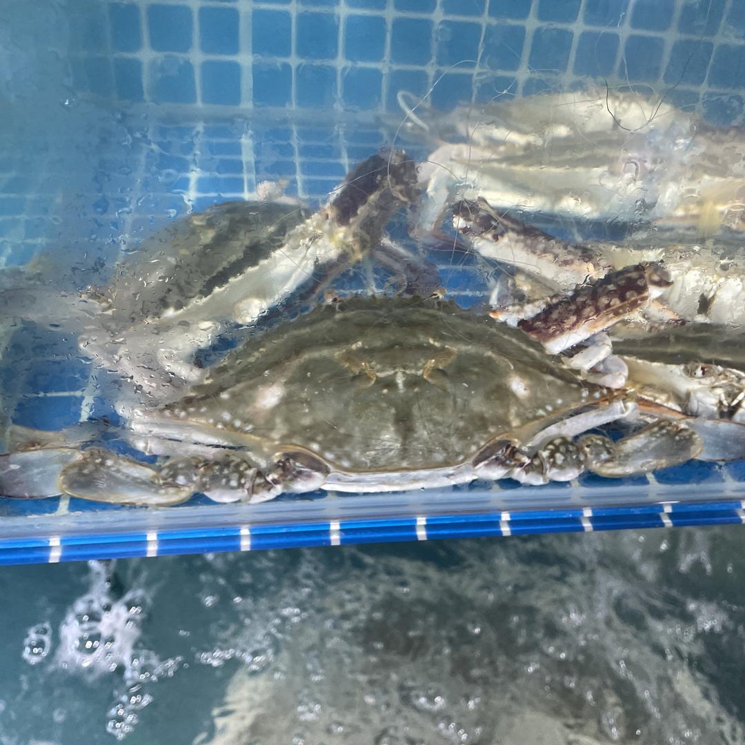 舟山渔聚生鲜海味精选